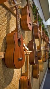 Ukulele classes start Sunday at CAC